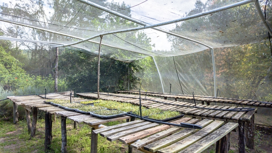 Commercial Property for Sale in Sedgefield Rural Western Cape